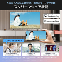 2025年製ハイセンス 24A48R（エディオン）Hisense 24A4R型 ハイセンス 24A48R 24V型ハイビジョン液晶テレビ e angle select A48R