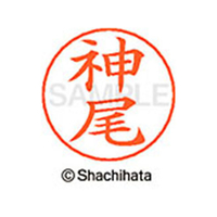 シヤチハタ ネームペン用ネーム シルバー 既製 神尾 FC46534-X-GPS-0763