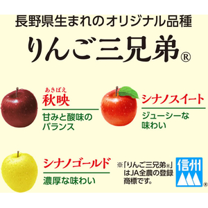 伊藤園 ニッポンエール 長野県産りんご三兄弟 280g FCK252C-イメージ2