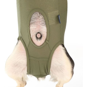 ジャパンペットコミュニケーションズ 犬用 ベッツウェア 男の子用 カーキ XL FCE568K-1901004-イメージ4