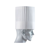 ADVANCE パリスハット 10枚入 PH-20NT 20cm FC281LZ-8835800