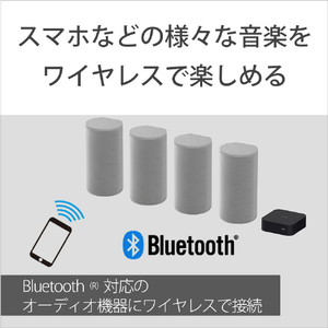 SONY ホームシアターシステム ライトグレー HT-A9-イメージ9