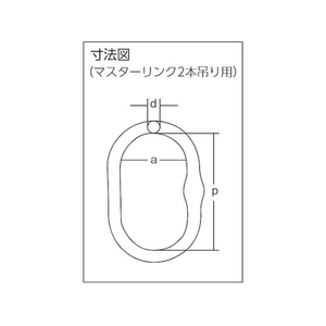 象印チェンブロック 象印/チェーンスリング100 アイタイプ 荷重1.7t線径6.3mm FC254HJ-4758269-イメージ2