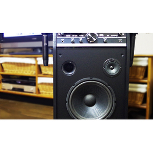 TAICHI DVDカラオケシステム ANABAS DVD-K110-イメージ5