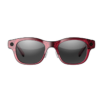 HTC VIVE Eagle Sun lens - M Berry 9HAUS022