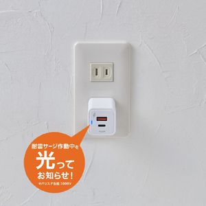 エルパ PD20W対応2ポート充電器 急速充電 ホワイト CHR-SP20ACWH-イメージ5