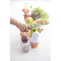 ⭐︎限定盤⭐︎ おかもとえみ　LP （送料無料）　美品 Amazon.co.jp: Works: ミュージック