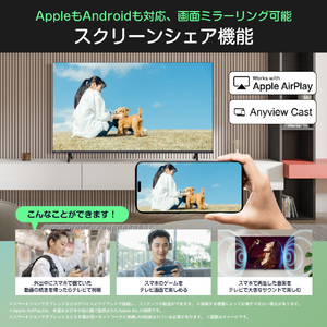 ハイセンス 40V型フルハイビジョン液晶テレビ C35Rシリーズ 40C35R-イメージ3