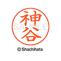 シヤチハタ ネームペン用ネーム シルバー 既製 神谷 FC46542-X-GPS-0771