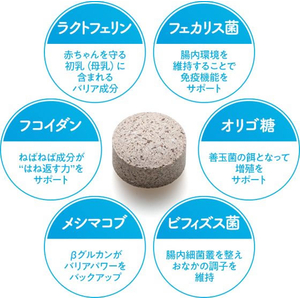ＤＨＣ 愛犬用 負けないドッグ 60粒 FCF418N-イメージ3