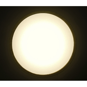アイリスオーヤマ ～12畳用 LEDシーリングライト CL12DL-5.1MXWFU-イメージ3