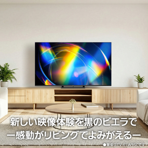 パナソニック 55型 4K対応液晶テレビ VIERA TV-55W95C-イメージ19