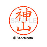 シヤチハタ ネームペン用ネーム シルバー 既製 神山 FC46543-X-GPS-0772