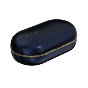 AVIOT トゥルーワイヤレスイヤホン ドーンネイビー TE-W1-NV-イメージ4