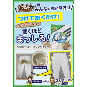 ミマスクリーンケア ポール 無リン 1.0kg FCB7063-イメージ2