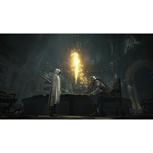 フロム・ソフトウェア ELDEN RING NIGHTREIGN【PS4】 PLJM17428-イメージ10