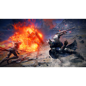 フロム・ソフトウェア ELDEN RING NIGHTREIGN【PS4】 PLJM17428-イメージ6