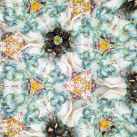 ソニ－ミュ－ジック Ａｉｍｅｒ／太陽が昇らない世界 【CD】 VVCL-2750