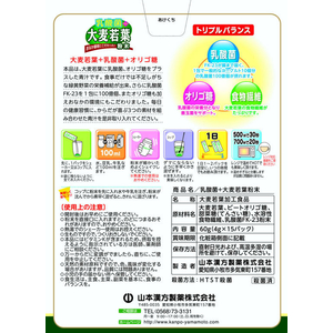 山本漢方製薬 乳酸菌 大麦若葉粉末 4g×15包 FC43053-イメージ2