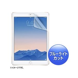 サンワサプライ iPad Air 2用ブルーライトカット液晶保護指紋反射防止フィルム LCD-IPAD6BCAR-イメージ1