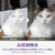 OPPO OPPO A5x ホワイト CPH2725WH-イメージ14