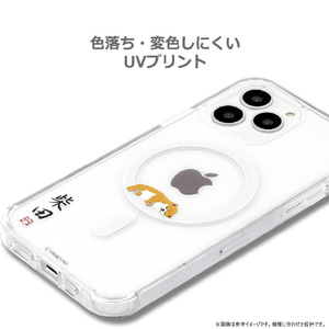 abbi FRIENDS iPhone 16 Plus用しばたさんMagSafe対応クリアケース 柵の向こう ABF27214I16PL-イメージ9