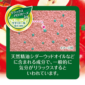 白元アース HERS バスラボ ボトル りんごの香り 540g FCE653M-イメージ4