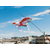 ＤＩＡ－Ｔ 鳥追い 暴れん坊 タカ FCF476A-K-901-イメージ3