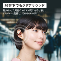 ビクター HA-NP1T-H ワイヤレスイヤホン アイスグレー|エディオン公式通販