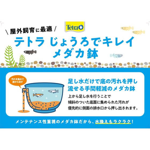 スペクトラムブランズジャパン スペクトラム ブランズ ジャパン/テトラ じょうろでキレイメダカ鉢20 黒 FC543NP-イメージ2