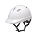 ＤＩＣプラスチック 自転車用ヘルメット ベンチレーション付き L TS06V-IIL FCF538S-68-9513-61