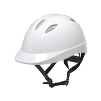 ＤＩＣプラスチック 自転車用ヘルメット ベンチレーション付き L TS06V-IIL FCF538S-68-9513-61