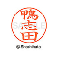 シヤチハタ ネームペン用ネーム シルバー 既製 鴨志 FC46555-X-GPS-0784