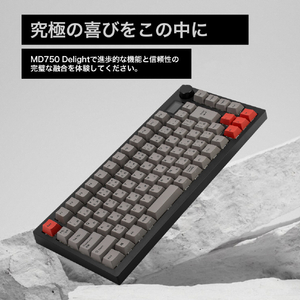 Mistel Barocco Mistel MD750 Delight JIS (日本語配列/ GATERON G Pro 2．0 赤軸) ブラック ML-MD750D-J-RD/BK-イメージ15