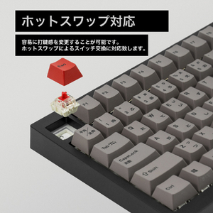 Mistel Barocco Mistel MD750 Delight JIS (日本語配列/ GATERON G Pro 2．0 赤軸) ブラック ML-MD750D-J-RD/BK-イメージ19