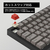 Mistel Barocco Mistel MD750 Delight JIS (日本語配列/ GATERON G Pro 2．0 赤軸) ブラック ML-MD750D-J-RD/BK-イメージ19