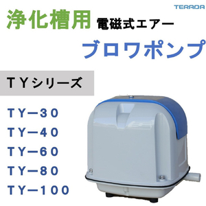 ＴＥＲＡＤＡ 電磁式エアーポンプ TERADA ラインポンプ 口径65mm 単相100V 50Hz TY-40-イメージ2