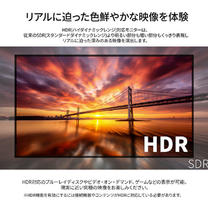 JAPANNEXT 43インチ 液晶ディスプレイ ブラック JN-IPS43U2-M-H5-イメージ7