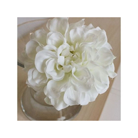 アスカ FC679SV-72-31451-1 ダリアピック ホワイト |エディオン公式通販