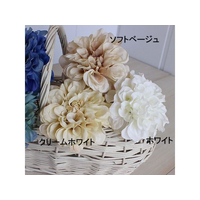 アスカ FC679SV-72-31451-1 ダリアピック ホワイト |エディオン公式通販