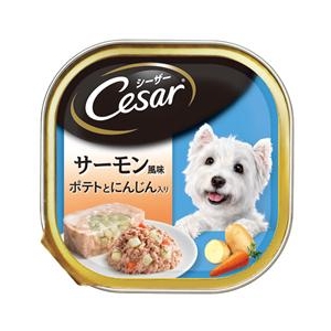 マースジャパンリミテッド シーザー　あじわいサーモン風味　ポテトとにんじん入り　100g CE36Nｻ-ﾓﾝﾎﾟﾃﾄﾄﾆﾝｼﾞﾝ100G-イメージ1