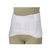 日本衛材 特注)ウエストタイDXメッシュ(3L) NE-2725(100-110CM) FCG474R-NE-2725