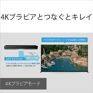 SONY 1TB HDD内蔵ブルーレイレコーダー BDZ-ZT1800-イメージ6