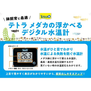 スペクトラムブランズジャパン スペクトラム ブランズ ジャパン/テトラ メダカの浮かべるデジタル水温計 FC548NP-イメージ4
