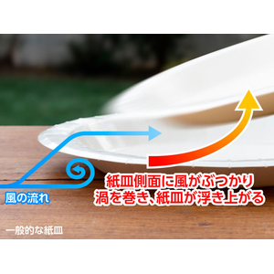 サンナップ 風に強いペーパープレート 16cm 8枚 FCJ019L-P1608KSNP-イメージ8