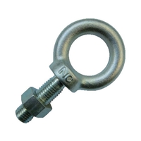 浪速鉄工 アイボルト 三価クロメート M16×50 M164.415012.560 FC263GN-4191030