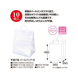 タカ印 手提げ パールB 大 10枚 FC43105-35-5721-イメージ2