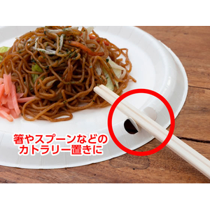 サンナップ 風に強いペーパープレート 21cm 5枚 FCJ020L-P2105KSNP-イメージ5