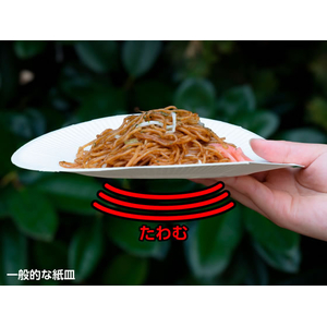 サンナップ 風に強いペーパープレート 21cm 5枚 FCJ020L-P2105KSNP-イメージ6