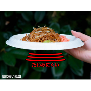 サンナップ 風に強いペーパープレート 21cm 5枚 FCJ020L-P2105KSNP-イメージ7